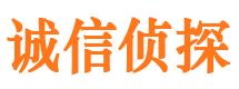 未央市私家侦探